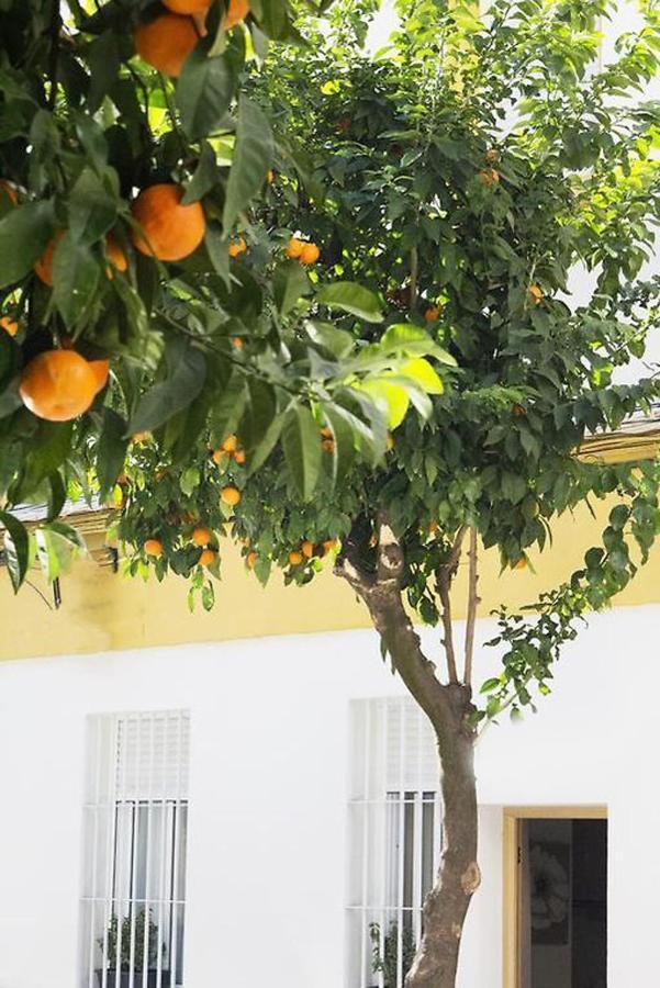 Apartamento Costasol Córdoba Kültér fotó
